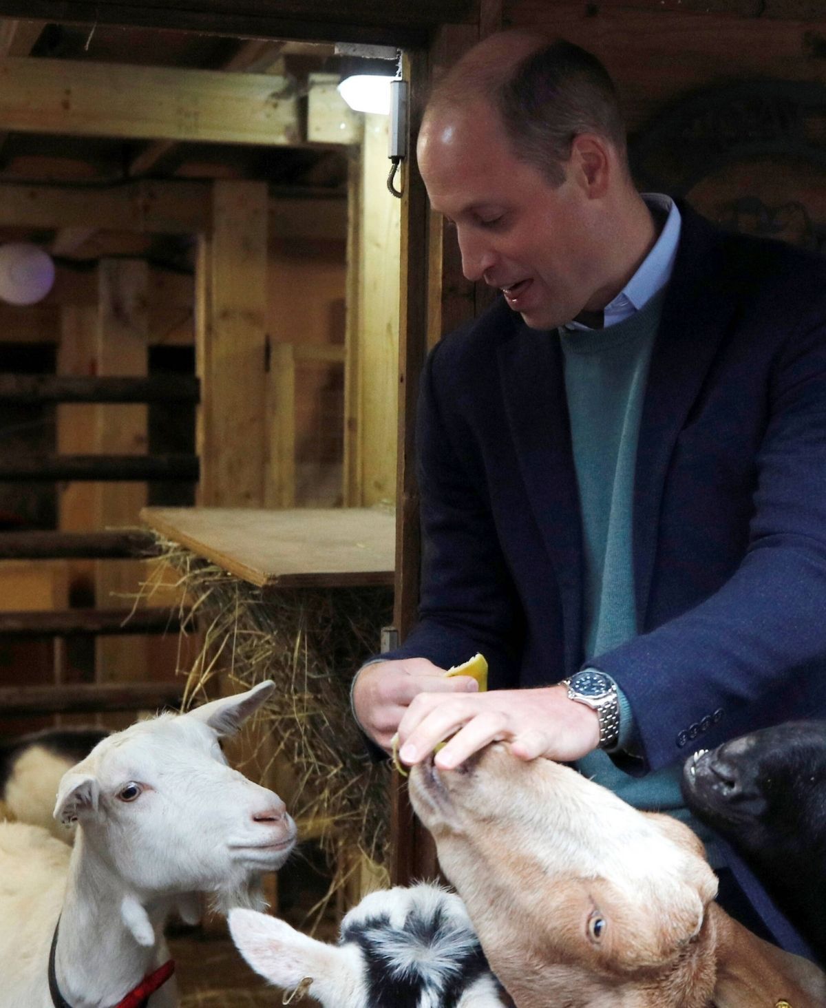 William und Kate: DAS ist ihre Ablenkungstaktik von Andrew