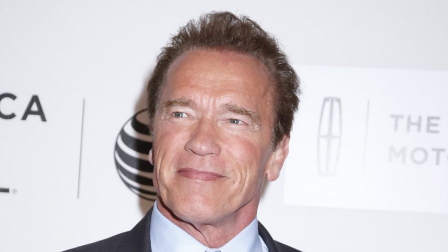 Ob Arnold Schwarzenegger in Zukunft öfter als Friseur tätig sein wird? (jes/spot)