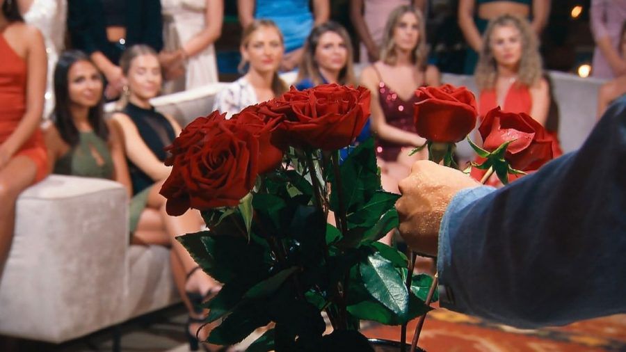 "Der Bachelor": Dominik schockverliebt! Ist Jana-Maria die Gewinnerin?