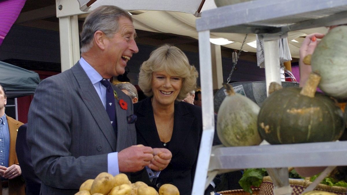 Früher war Camilla das Problem, heute ist sie Englands Lösung!