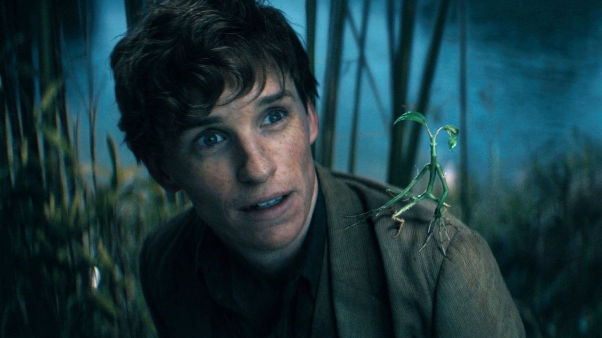 Es wird magisch! Hier ist der zweite Trailer zu "Phantastische Tierwesen: Dumbledores Geheimnisse"