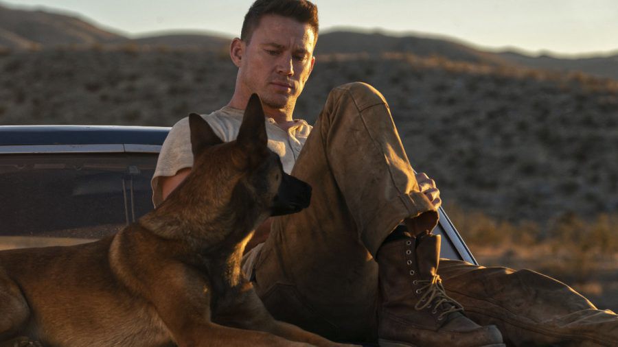 Channing Tatum: Alles über sein Regiedebüt "Dog"