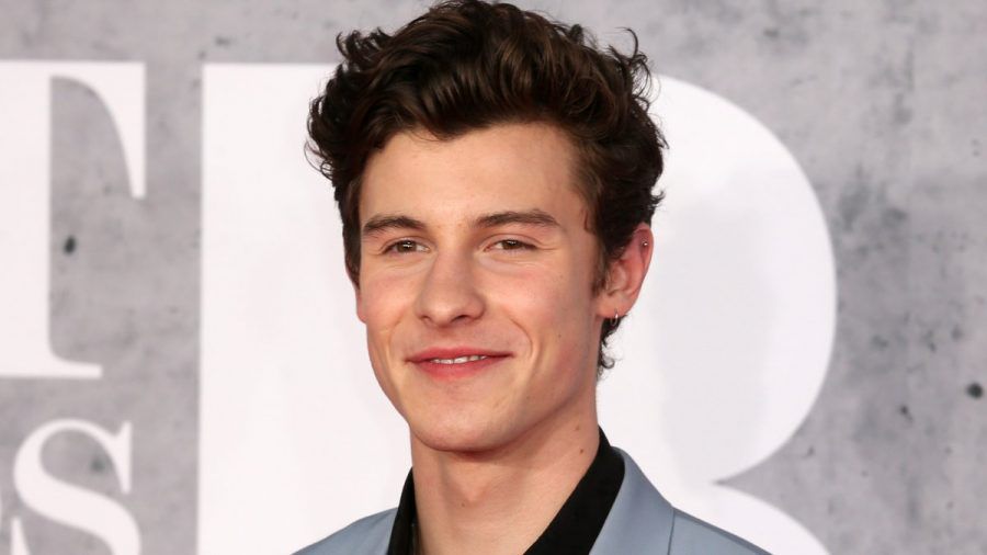 Shawn Mendes wird bei den diesjährigen Oscars auf der Bühne stehen. (eee/spot)