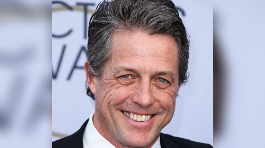 Hugh Grant wird nicht der nächste "Doktor". (hub/spot)