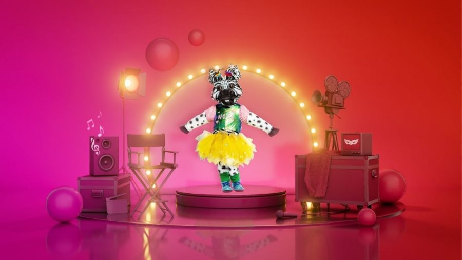 "The Masked Singer": Das Zebra