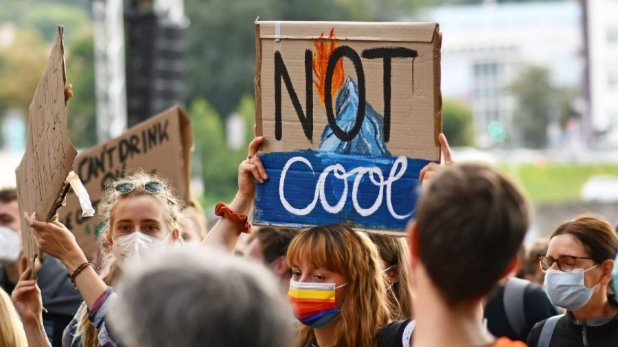 Demonstrantinnen bei Fridays-for-Future mit Dreadlocks