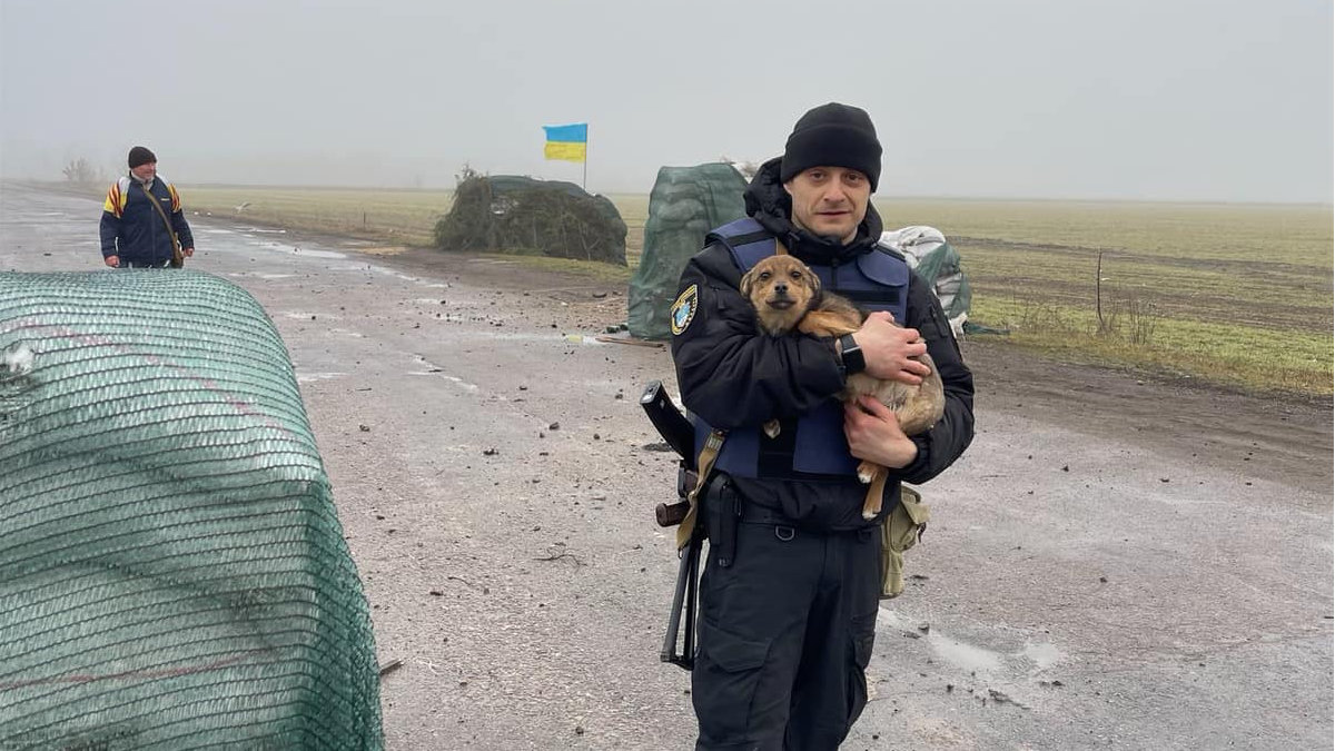 Ukrainische Polizisten finden Hund in zerstörtem Gebiet