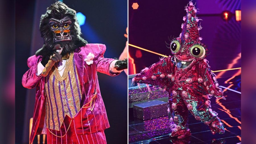 Der Gorilla und der Seestern schieden im Halbfinale von "The Masked Singer" aus. (elm/spot)