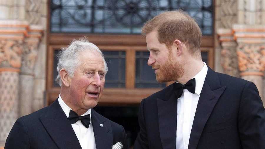 Haben sich Prinz Harry (re.) und Prinz Charles nichts mehr zu sagen? (stk/spot)