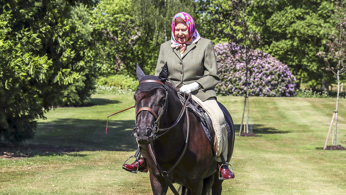 Queen Elizabeth auf ihrem Pferd