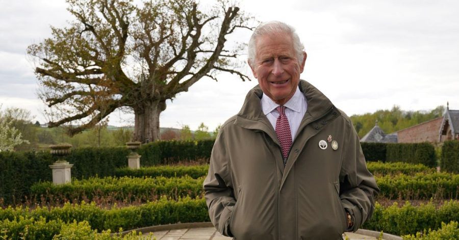 Prinz Charles von Wales neben der "Alten Platane" im Garten von Dumfries House in Edinburgh.