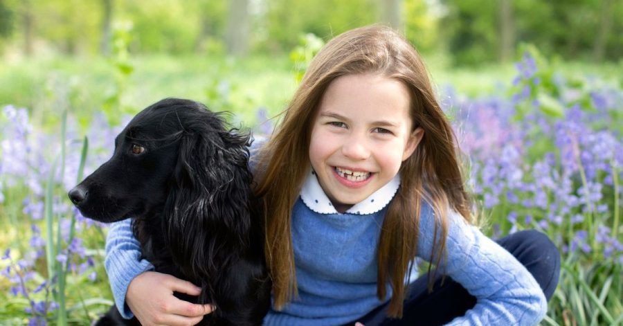 Die britische Prinzessin Charlotte feierte ihren siebten Geburtstag zusammen mit dem Familienhund.