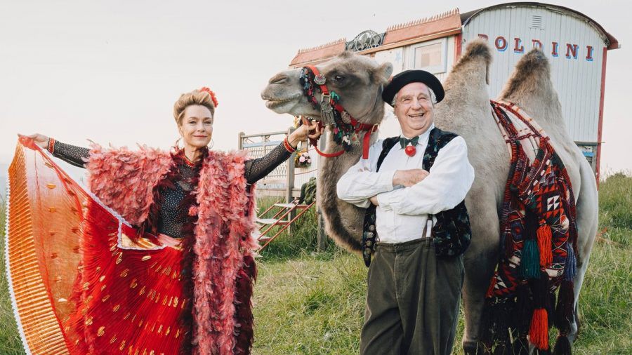 "Zimmer mit Stall: So ein Zirkus": Sophie (Aglaia Szyszkowitz) und Barthl (Friedrich von Thun) bekommen überraschenden Besuch von einem Kamel. (cg/spot)