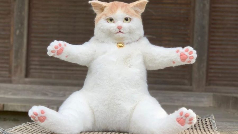 Eine japanische Designerin stellt solche Katzen-Rucksäcke her