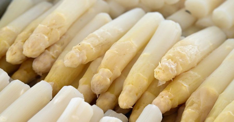 Spargel liegt auf dem Buffet bei der Eröffnung der Spargelsaison. Einer Umfrage zufolge, findet ein Drittel die Spargelzeit für einen übertriebenen Hype.