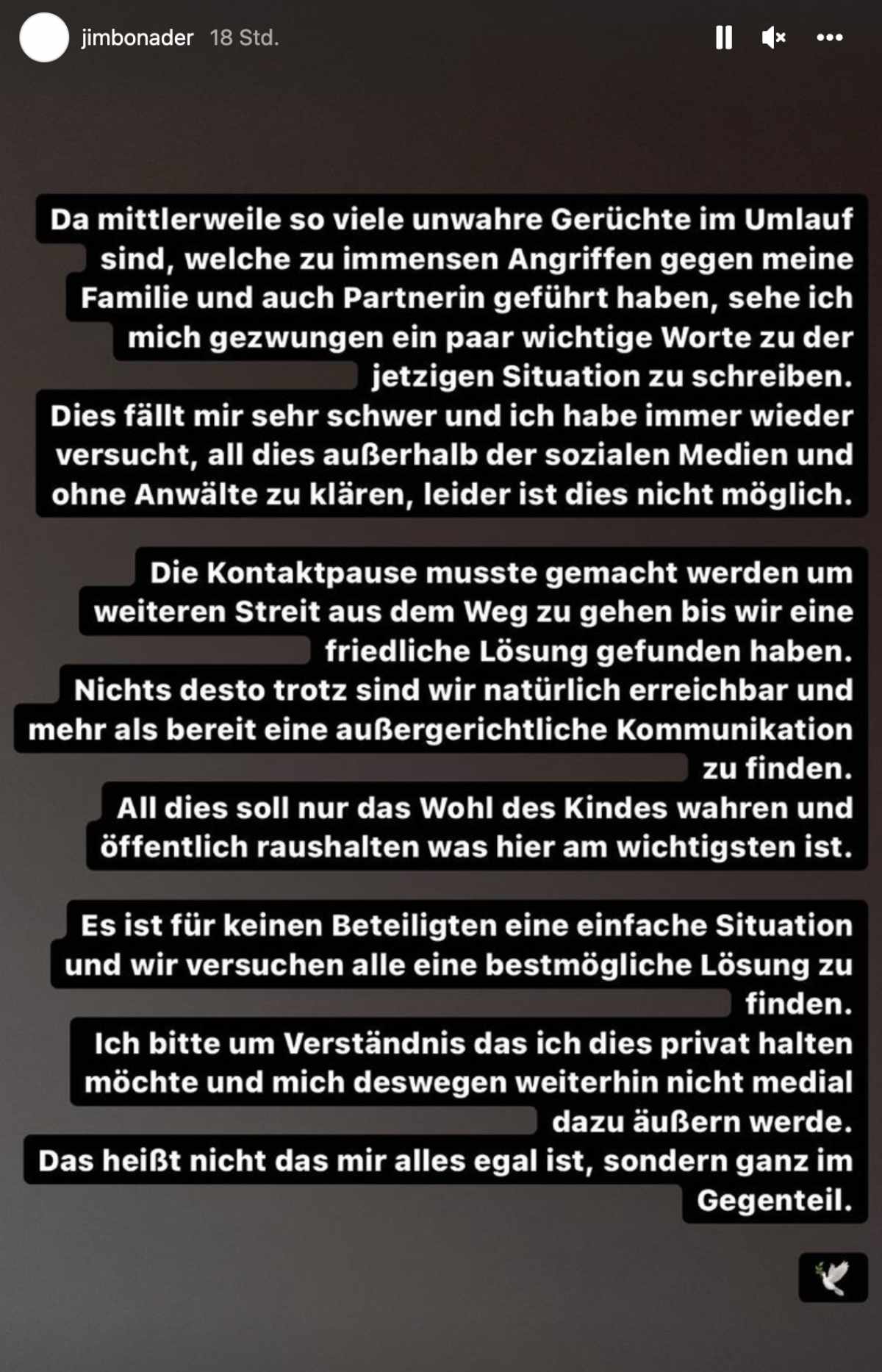 Jimi Blue Ochsenknechts Statement
