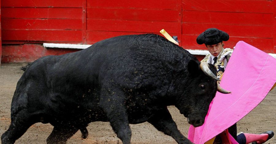 In der Arena fand eine «Corraleja» genannte Stierkampfveranstaltung statt.