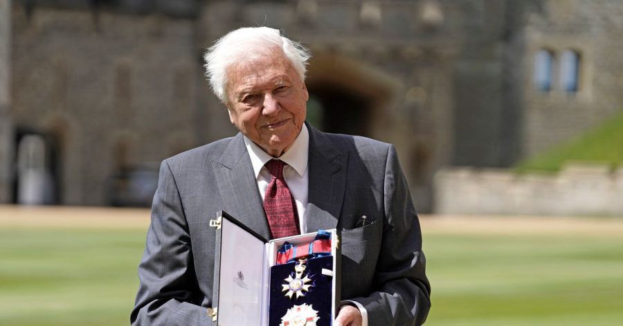 Sir David Attenborough nach seiner Ernennung zum Ritter des Großkreuzes des St. Michael und St. Georgs Ordens.