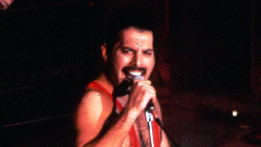 Freddie Mercury war von 1970 bis zu seinem Tod im Jahr 1991 der markante Sänger der britischen Rockband Queen. (ili/spot)