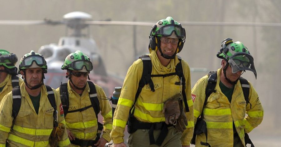 Gefährlicher Einsatz: Bei dem Waldbrand in der Touristenhochburg Costa del Sol wurden drei Feuerwehrleute verletzt.