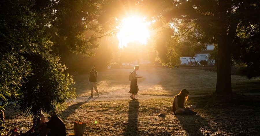 Die Abendsonne bescheint einen der trockenen, staubigen Wege im Frankfurter Günthersburgpark.
