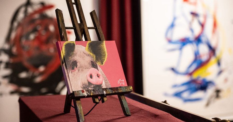 Die Werke des in Südafrika lebenden Schweins «Pigcasso» wurden bereits in London und Amsterdam ausgestellt. Jetzt kommen sie nach Hann.Münden.
