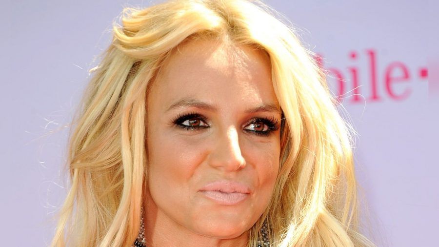 Britney Spears verliert kein gutes Wort über die Dokumentationen über ihre Wenigkeit. (aha/spot)