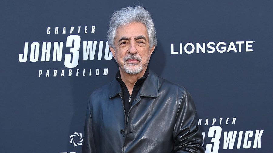 Joe Mantegna spielte in "Criminal Minds" von 2007 bis 2020 die Rolle des Senior Supervisory Special Agent David Rossi. (tae/spot)
