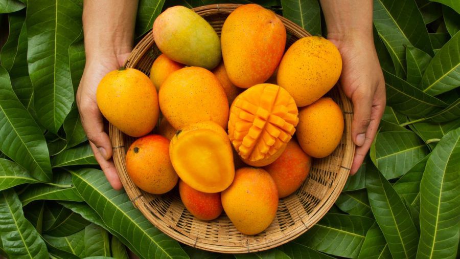Weltweit gibt es mehr als 2.000 verschiedene Mangosorten. (ncz/spot)