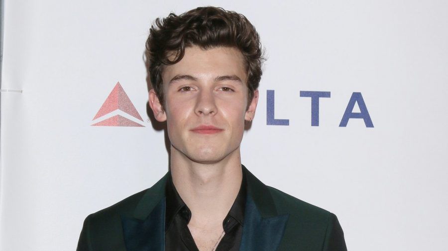 Shawn Mendes ist gesundheitlich angeschlagen. (jom/spot)