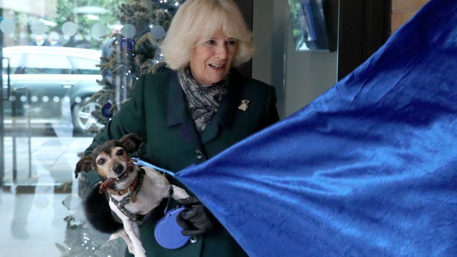 Herzogin Camilla liebt ihre Jack-Russell-Terrier-Hündin Beth. Der Vierbeiner musste für die neuen Geburtstagsfotos ebenfalls Modell stehen. (eee/spot)