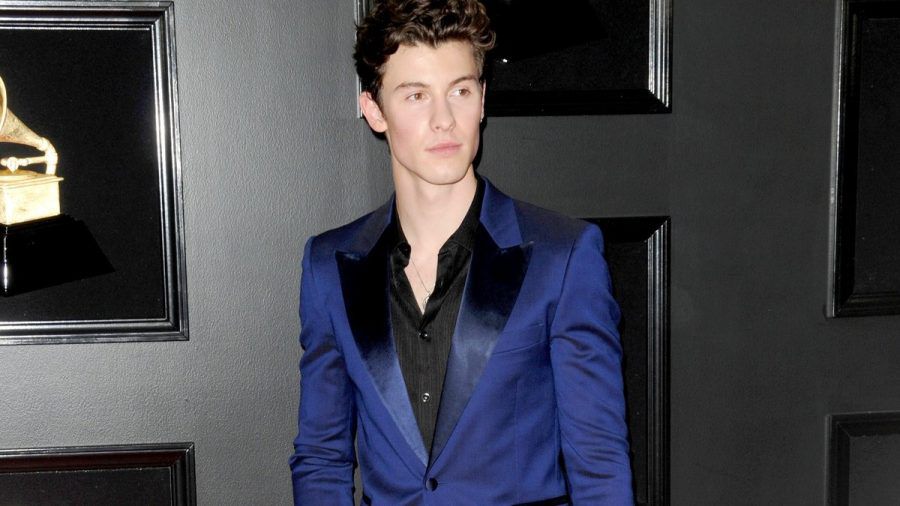 Shawn Mendes nimmt sich eine Auszeit. (eee/spot)