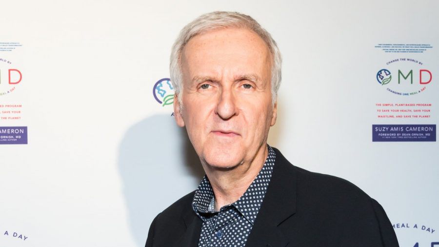 James Cameron könnte den "Avatar"-Regiestuhl abgeben. (jom/spot)