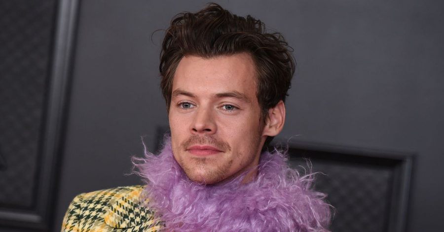 Sänger Harry Styles ist reif für die Wissenschaft.
