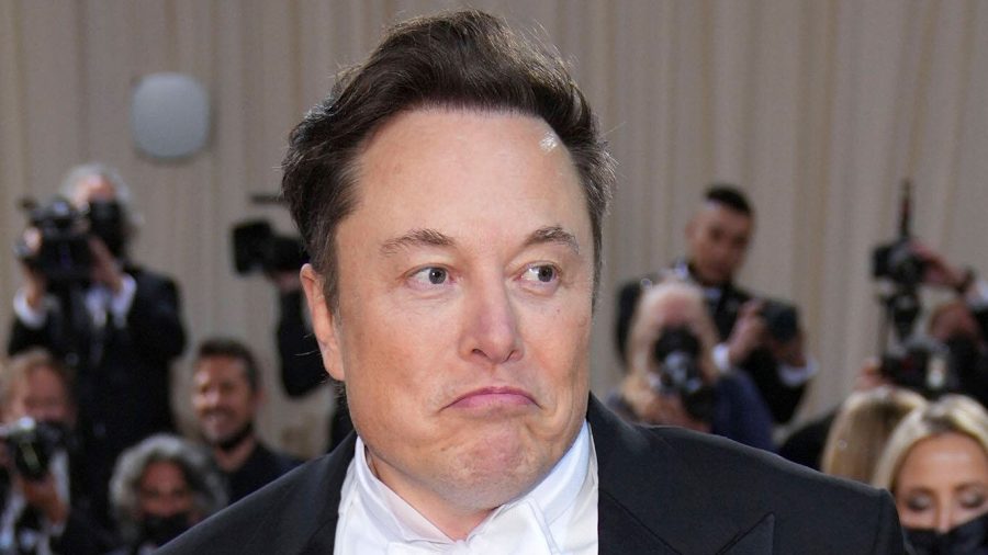 Tesla-Chef Elon Musk hatte eine Audienz beim Papst.