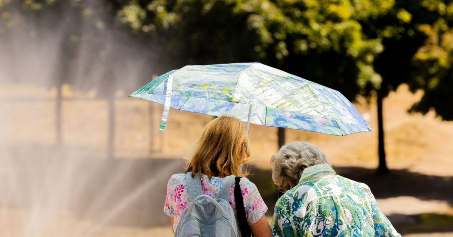 Zwei Frauen schützen sich am Kölner Rheinufermit einem Regenschirm vor der Sonne.  Derzeit liegt der Hitzerekord in Deutschland bei 41,2 Grad.