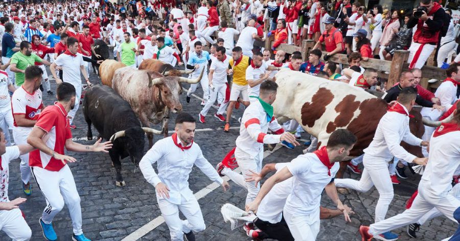 Weiß gekleidete junge Männer mit roten Halstüchen laufen beim «Sanfermines»-Fest bei der Stierhatz mit den Tieren.