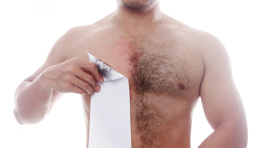 Männer zum Kraulen: Comeback der Brustbehaarung