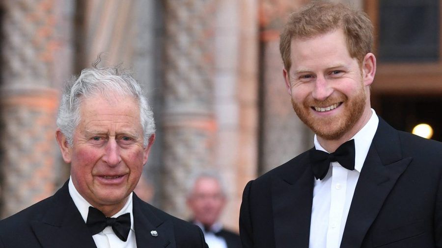 Wie steht es um das Verhältnis zwischen Prinz Charles und Prinz Harry? (ili/spot)