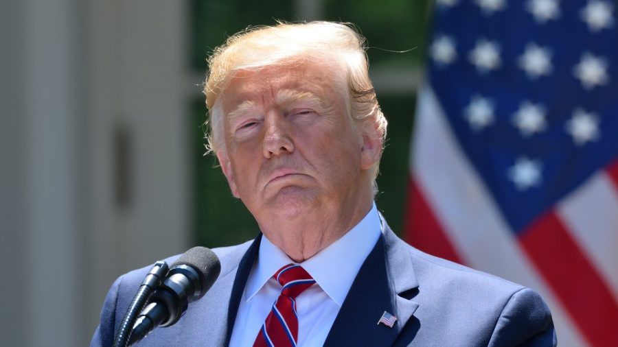 Donald Trump hätte der Deepfake-Film wahrscheinlich nicht gefallen. (mia/spot)