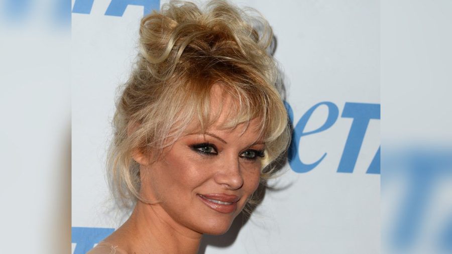 Der Pammy Updo: Pamela Andersons ikonische Lieblingsfrisur aus den Neunzigern ist zurück. (the/spot)