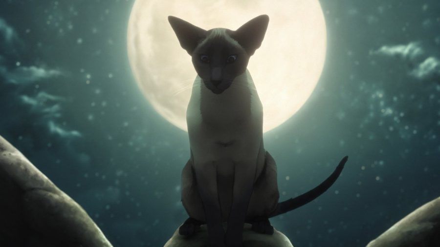 Ein Teil der neuen "The Sandman"-Bonusfolge ist animiert. (wue/spot)