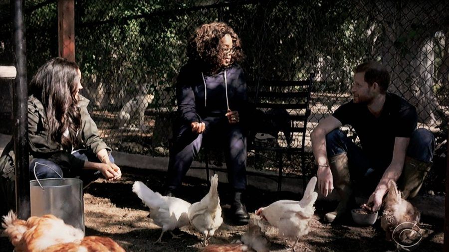 Herzogin Meghan und Prinz Harry zeigten ihre Hühner auch schon Talk-Ikone Oprah Winfrey. (ili/spot)