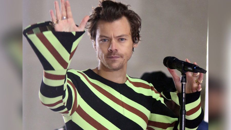 Harry Styles ist wütend. (smi/spot)