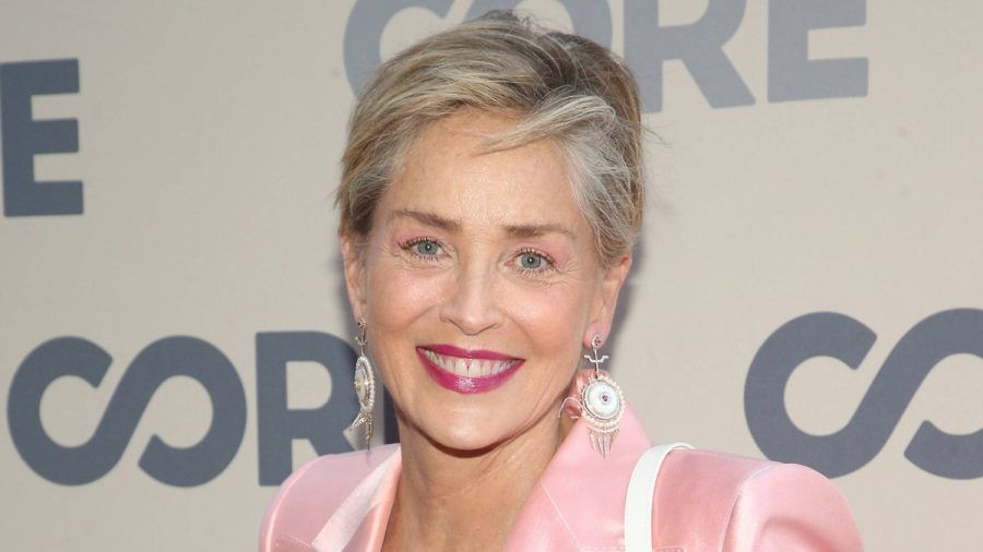 Sharon Stone hat nichts zu verstecken, wie ein aktuelles Bikini-Selfie beweist. (jk/spot)