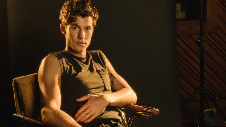 Shawn Mendes entspannt auf Stuhl