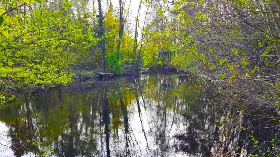 Das Sommerhaus der Stars Weiher