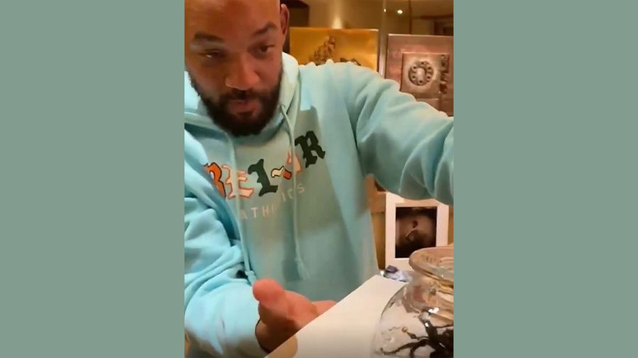 Will Smith und eine Spinne