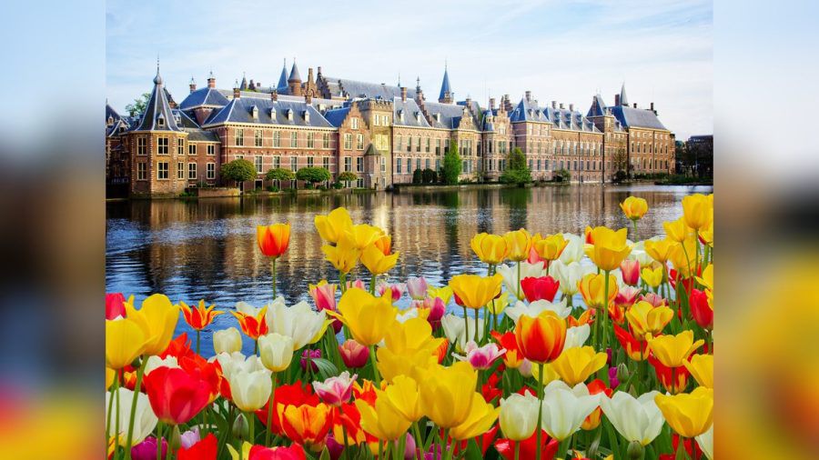Der Binnenhof ist ein beliebtes Ziel in Den Haag. (jom/spot)
