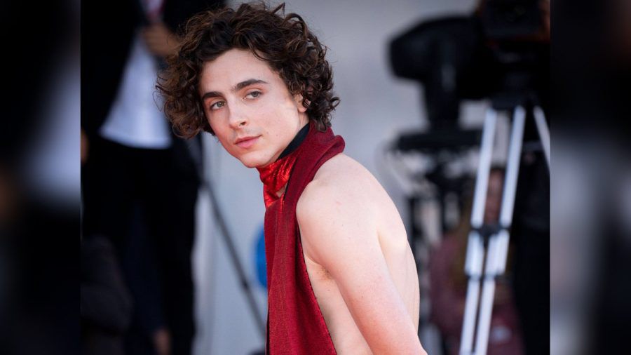 Beim Filmfest von Venedig begeisterte Timothée Chalamet mit seinem rückenfreien Outfit. (stk/spot)